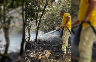 Çanakkale'deki orman yangını kontrol altına...