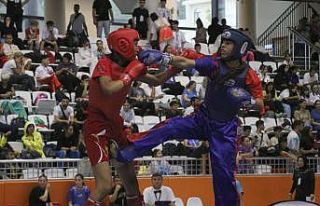 6. Açık Balkan Wushu Kung Fu Şampiyonası Edirne'de...