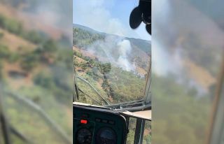 Balıkesir'in Burhaniye ilçesinde orman yangını...