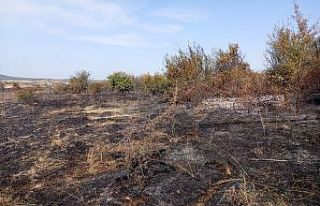 Edirne'de makilik alanda çıkan yangın söndürüldü