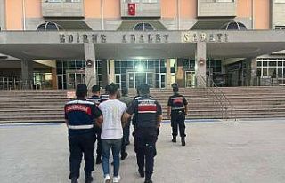 Edirne'de 86 düzensiz göçmen yakalandı