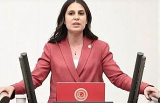 CHP Muğla Milletvekili Özcan: "Bu yatırım...