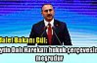 Adalet Bakanı Gül: Zeytin Dalı Harekatı hukuk...