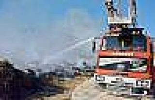 Antalya’da sazlık alanda yangın çıktı