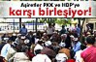 Aşiretlerden PKK ve HDP'ye karşı birleşme kararı