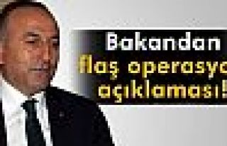 Bakan Çavuşoğlu: 'Operasyonda bine yakın kişi...