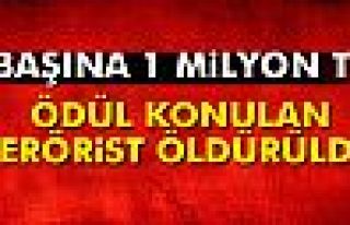 Başına 1 milyon TL ödül konulan terörist Bitlis'te...