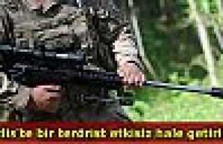 Bitlis'te bir terörist etkisiz hale getirildi