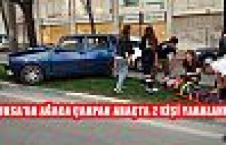 Bursa'da Ağacı Çarpan Araçta 2 Kişi Yaralandı