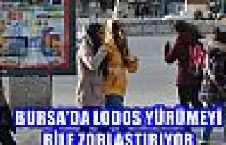 Bursa'da Lodos Yürümeyi Bile Zorlaştırıyor