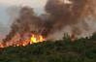 Bursa’da Orman Yangını Büyüyor