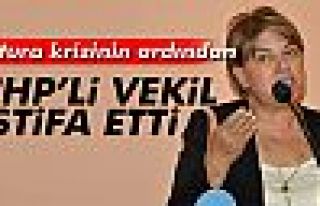  CHP'li Vekil Elif Doğan Türkmen İstifa Etti