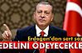 Cumhurbaşkanı Erdoğan: 'Bedelini ödeyecekler'