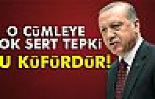 Cumhurbaşkanı Erdoğan: 'Bu küfürdür'