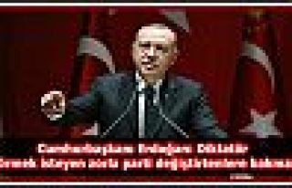 Cumhurbaşkanı Erdoğan: Diktatör görmek isteyen...