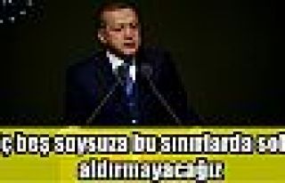 Cumhurbaşkanı Erdoğan: Üç beş soysuza bu sınırlarda...