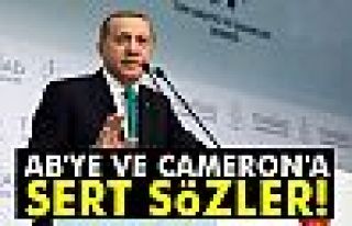 Cumhurbaşkanı Erdoğan'dan Cameron'a: 3 gün dayanamadın