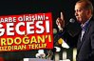 Cumhurbaşkanı Erdoğan'ı kızdıran teklif: 'Benim...