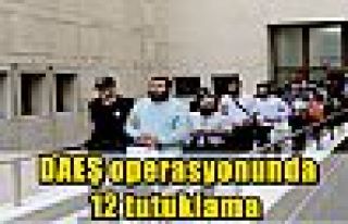  DAEŞ operasyonunda 12 tutuklama 