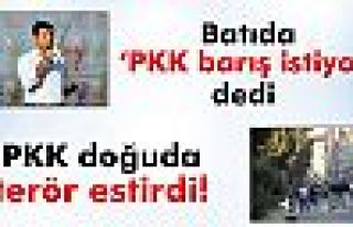 Demirtaş batıda ‘PKK barış istiyor’ dedi,...