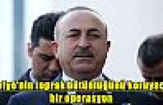 Dışişleri Bakanı Çavuşoğlu: Suriye'nin toprak...
