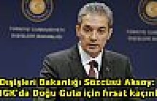 Dışişleri Bakanlığı Sözcüsü Aksoy: BMGK'da...