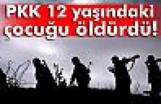 Diyarbakır Valiliği açıkladı: PKK 12 yaşındaki...