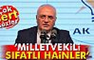 Ekonomi Bakanı Mustafa Elitaş: ‘Milletvekili sıfatlı...