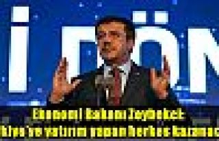 Ekonomi Bakanı Zeybekci: Türkiye’ye yatırım...