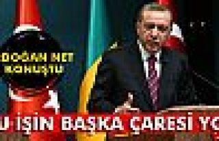 Erdoğan: 'Bu işin başka çaresi yok'
