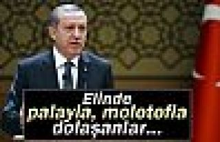 Erdoğan: 'Elinde palayla, molotofla dolaşanlar...'