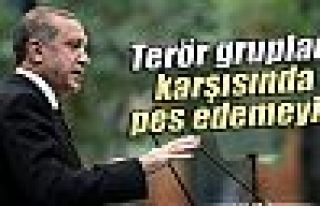 Erdoğan: 'Terör grupları karşısında pes edemeyiz'