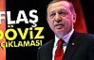 Erdoğan'dan flaş döviz açıklaması