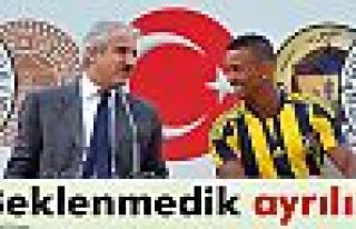 Fenerbahçe'de Terraneo dönemi sona erdi