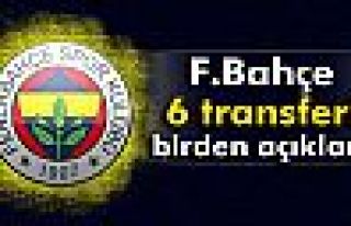 Fenerbahçe'ye 6 transfer birden!