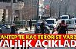 Gaziantep'teki saldırıda kaç terörist vardı?