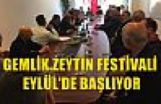 Gemlik Zeytin Festivali Eylül'de Başlıyor