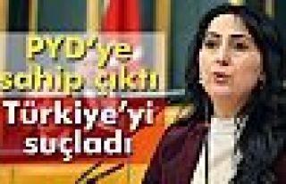 HDP, PYD’ye sahip çıktı, Türkiye’yi suçladı