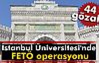 İstanbul Üniversitesi'nde FETÖ operasyonu: 44 gözaltı