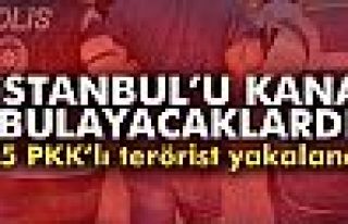 İstanbul’da eylem hazırlığındaki 15 PKK’lı...