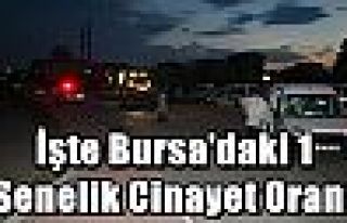 İşte Bursa'daki 1 Senelik Cinayet Oranı