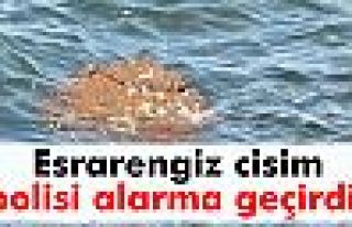 İzmir kıyılarına vuran esrarengiz cisim