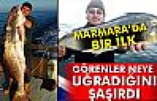 Marmara'da bir ilk...Balıkçılar da şok oldu