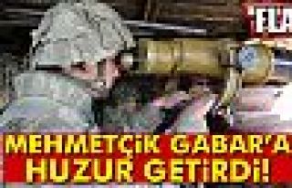 Mehmetçik Gabar'a Huzur Getirdi!