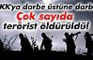 Nusaybin’de 22 PKK’lı öldürüldü