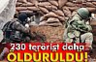 Nusaybin’de 230 terörist öldürüldü