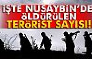 Nusaybin’de 403 terörist etkisiz hale getirildi