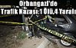 Orhangazi'de Trafik Kazası:1 Ölü,4 Yaralı