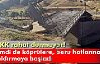 PKK köprüyü havaya uçurdu, doğalgaz hattına...