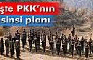 'PKK uluslararası hale gelmeyi amaçlıyor'